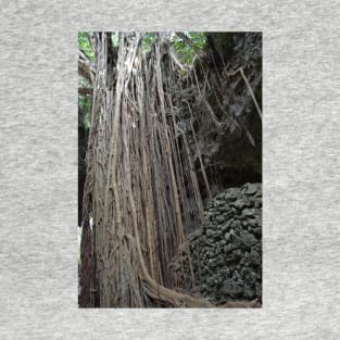 Valley of Gangala T-Shirt